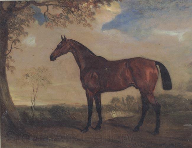 John Ferneley Portrait of a Hunter Mare,The Property of Robert shafto of whitworth park,durham